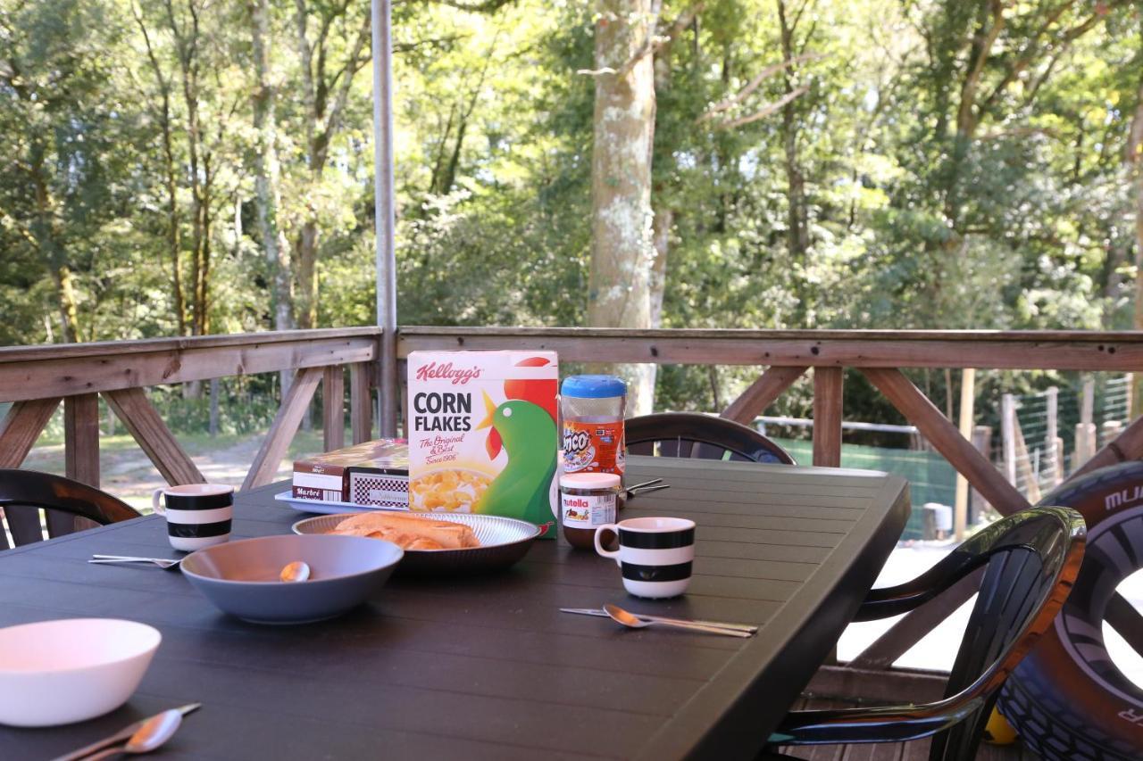 Camping Le Ruisseau Saint-André-de-Seignaux المظهر الخارجي الصورة